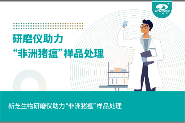pg赏金女王生物组织研磨仪助力“非洲猪瘟”样品处理