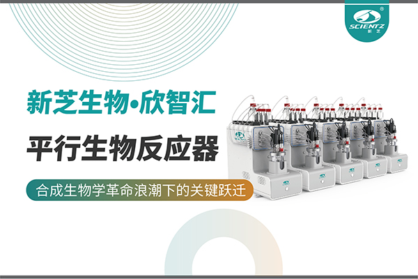 培养菌株和评估工艺参数影响太难太慢？平行生物反应器提供关键解决方案！