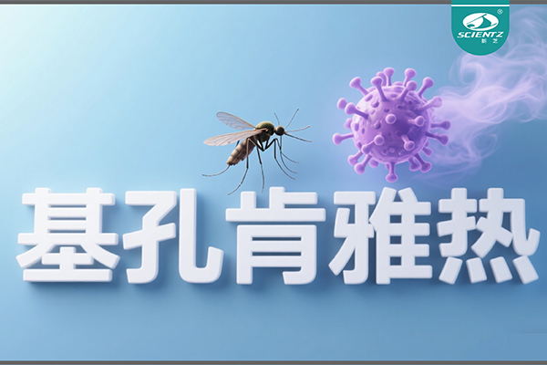 基孔肯雅热疫情升级！pg赏金女王生物硬核技术助力病毒精准诊断