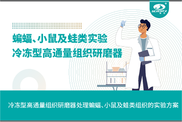 冷冻型高通量组织研磨器处理蝙蝠、小鼠及蛙类组织的实验方案