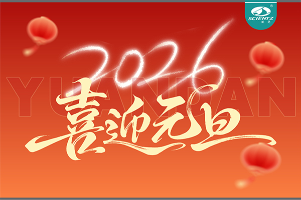 董事长周芳女士新年献词：心有定力，沐光而行