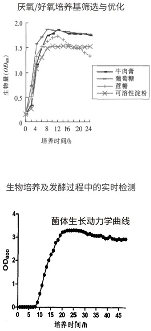 过程安全，结果精准